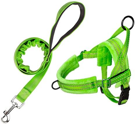SlowTon No Pull Small Dog Harness and Leash, Front Lead Walk Vest Harness Soft Padded Светлоотразителни Adjustable Puppy Harness Anti-Twist Пет Lead Quick Fit for Small Cat Dog Животните