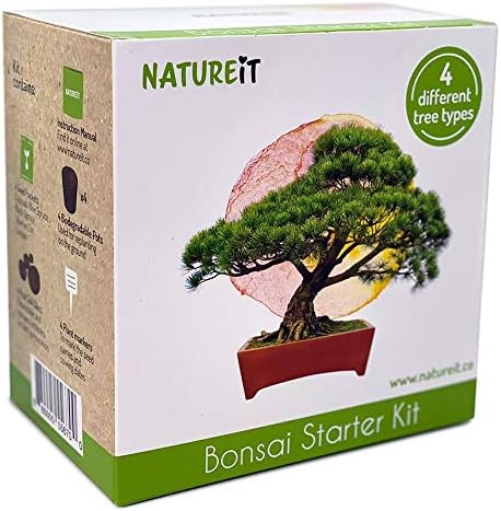 Въведете Tree Seed Starter Kit - всичко, което трябва да растат с 4 на дървото бонсай от семена. All-in-One Indoor / Outdoor