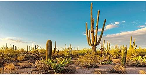 AWERT Слънцето и Пустинен Терариум Фона на Синьо Небе Оазис на Кактус пълзящо растение на околната Среда на Фона на Здрав Полиестер Фон