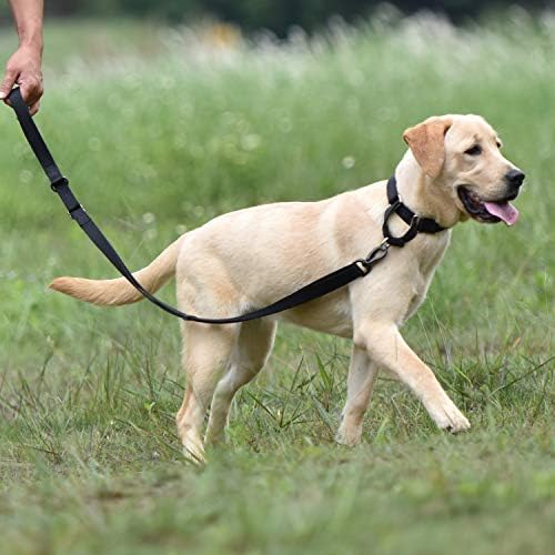 Hyhug Pets Premium Upgraded Heavy Duty Nylon Anti-Escape Martingale Collar for Boy and Girl Dogs and Comfy Safe - Професионална Тренировка, Ежедневно ходене.