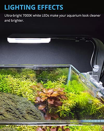 NICREW Mini Aquarium Clip-On Light, Small Planted LED Технологична Light for Fish Tanks, 7000K, 10W