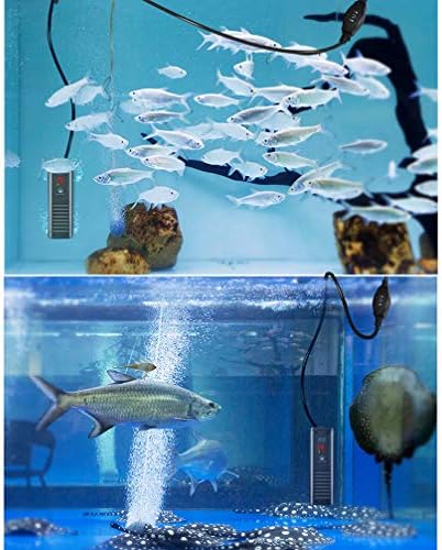 Нагревател с термостат аквариум RXBFD,Плосък Потопяема Нагревател Аквариум с Регулируем Термостат,с Интелигентен led дисплей