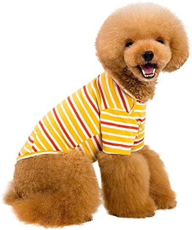 Кученце Hoody Шарени Дрехи За Домашни Кучета Мека Тениска С Къс Ръкав на Пуловер за Малко Кученце Котка Облекло