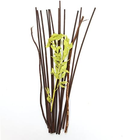 Hosley Aromatherapy Set of 3 Botanical Diffuser Reeds - Зелено/кафяво - височина 12,5 инча. Идеален за сватби, Нагряване