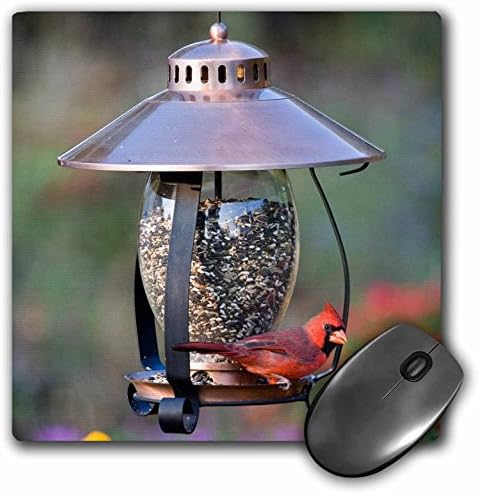 Северен кардинал на меден лампата хопър ясла за птици, Марион Ко. IL - Подложка за мишка, в 8 от 8 инча (mp_208643_1)