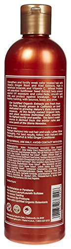 Nature' ' s Gate Protecting Shampoo за нормални или Незначителното коса - Грейпфрут и Див джинджифил - 12 грама