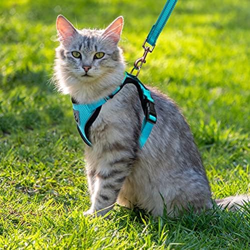 PUPTECK Cat Harness and Leash Set - Регулируем Жилетка Escape Proof Harness за Коте Small Medium Cats, Прибиращ Мека Дишаща Мрежа отвън със Светлоотразителни Ивици