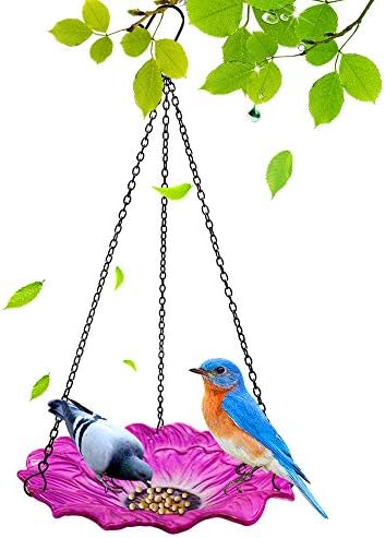 Поп Your Dream Hanging Bird Bath, 10 inch Glass Birdbath, Wild Bird Устройство for Outdoor Garden Yard Вътрешен Двор Decoration