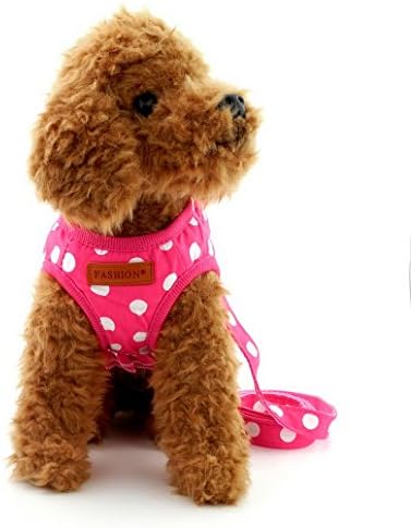 Ranphy Polka Dot Small Cat Dog Harness Момиче No Pull Пет Vest Step-in Mesh Jacket with Leash Set Adjustable for Walking