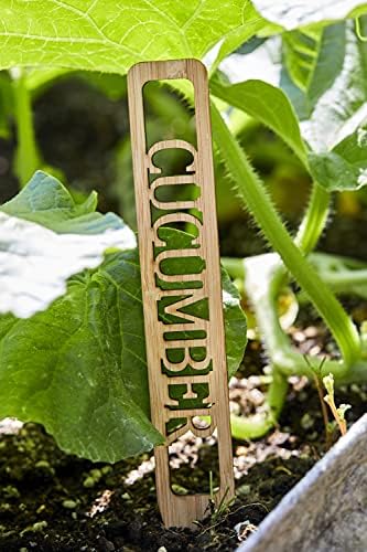 Просперо Living Garden Stakes - Търсените 7 – инчов дървени етикети за билки и зеленчукови растения-за вътрешни и външни