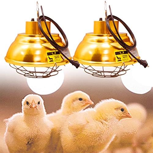 Лампа топлина пиле BDRWXZ с керамично притежател на топката, безопасни за използване на керамични предохранителем лампи, топлина, бързо топлением и висока ефективнос
