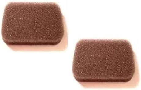 Почистваща Пяна пыльцевые филтри за Intelli - Опаковка от 2 броя