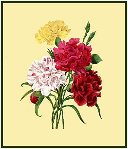Orenco Originals Redoute's Букет цветя Карамфили Брои модел кръстат Бод