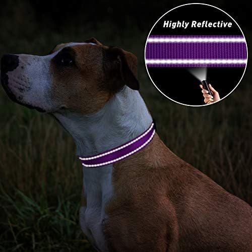 TagME Светлоотразителни Найлонови Нашийници За Кучета, Регулируема Класически Нашийник за Кучета с Быстроразъемной Катарама
