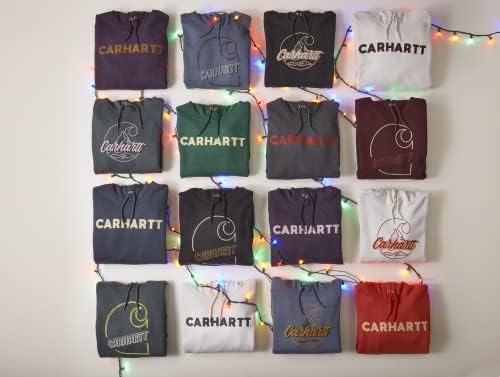 Hoody Carhartt Loose Fit Midweight Logo Graphic