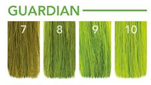 P. R. Pulp Riot Полупостоянный цвят на косата 4oz - Гардиън, 4 ет. унция (опаковка 1)