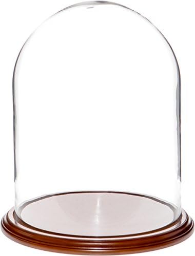 Plymor 11.75 x 15 Стъклен купол на дисплея дамска шапка клош (основа от орех)
