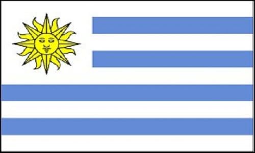 Домашни и Празнични Знамена 2x3 Уругвайско Флаг Меркосур Банер Държава Вимпел Открит 24x36 инча