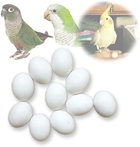 MESINURS Solid Dummy Eggs - Птичи Яйца Пластмасови яйца за посоката зяблика Gouldian & Spice прекрати зидария, 10 бр