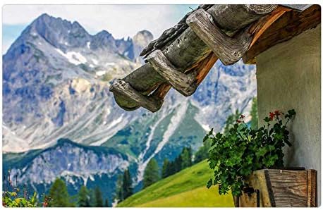 LESGAULEST Doormat Floor Rug/Mat (23.6 x 15.7 inch) - Alps Vernacular Architecture Mountains Zyza