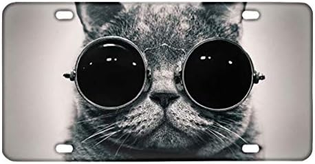 GOSTONG Sunglass Cat Авто Декоративен Регистрационен номер Алуминиева Сплав,Новост Регистрационен номер, Етикет Метален