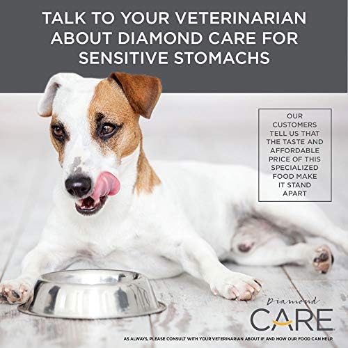 Diamond CARE Възрастен суха храна за кучета за подпомагане на здравословни проблеми при управлението на тегло, чувствителна