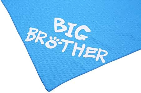 PICKUPIK Big Brother, Big Sister Dog Bandana 2 Pack