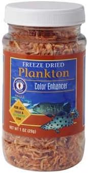 San Francisco Bay Brand ASF71210 Freeze Dryed Plankton for Fresh and Saltwater Fish, 28gm