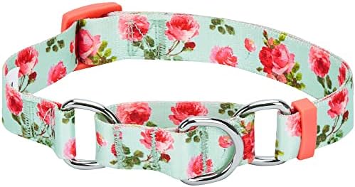 Blueberry Пет 7 Patterns Spring Scent Inspired Rose Print Safety Training Martingale Dog Collars, Персонални Яки