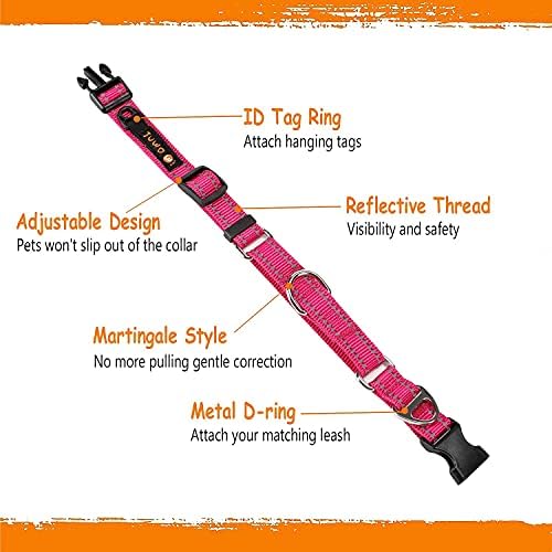Метална каишка за кучета JuWow (3 мм x 4 фута)и найлонов тренировъчен нашийник Martingale Safety (розово, 14-17 Шия x