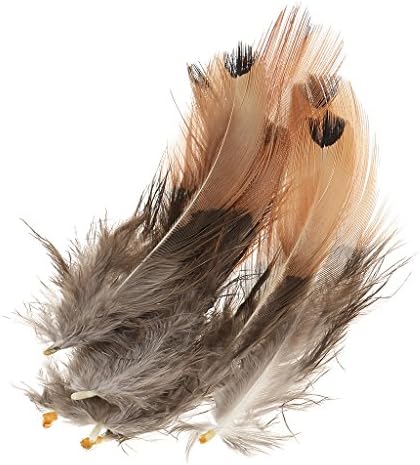 Harilla 100Pieces Phasant Feathers for Jewelry Decor Headwear САМ Занаятите 5-8 см