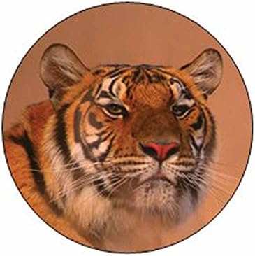 Сибирски Тигър Лицето Стикери - Подарък Пакет или Пакет Печат - нечовешки животински Тема Канцеларски Дизайн - Партията