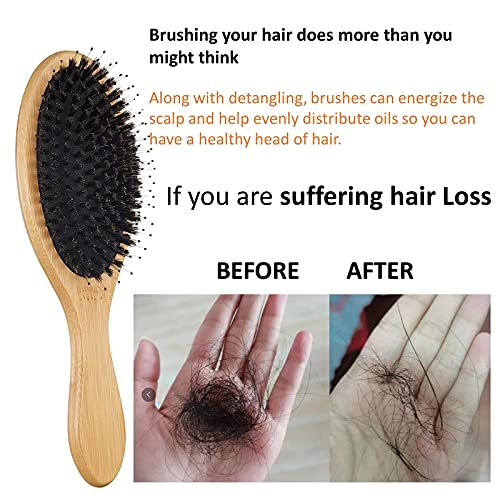 All in one Hair Brush Set for Woman ,Man ,Bristle Hair brush,paddle brush,detangler brush Set