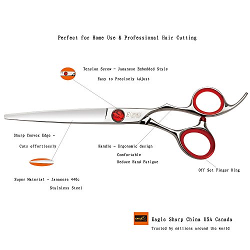 Професионални Ножици За Коса /Ножици 5.5 За Подстригване на Коса Потъмняла на Ръба на Острието Японски Процес Ножици от Неръждаема Стомана 440C